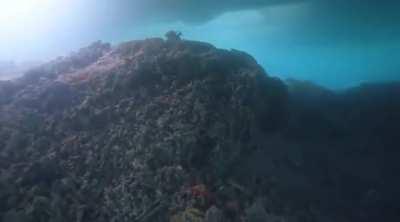 Divers conduct an underwater survey of the P-8A Poseidon that overshot the runway in Hawaii on November 20, 2023 