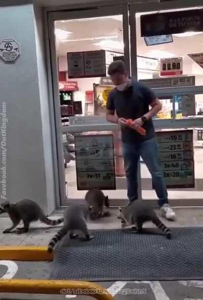 These Trash Pandas begging at a gas station is the best thing I've seen all week.