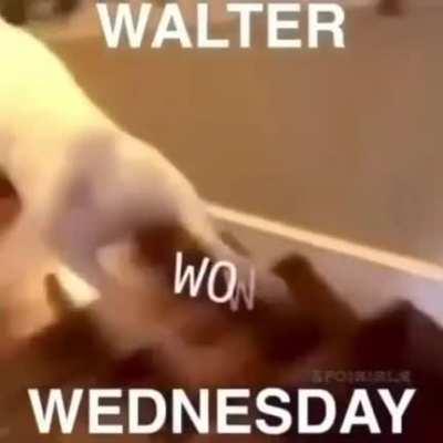 Happy Walter Wednesday