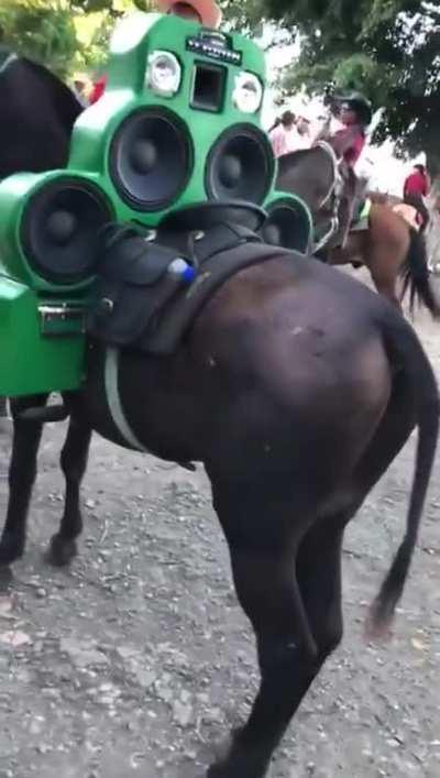 Who said you can't put speakers on a horse.