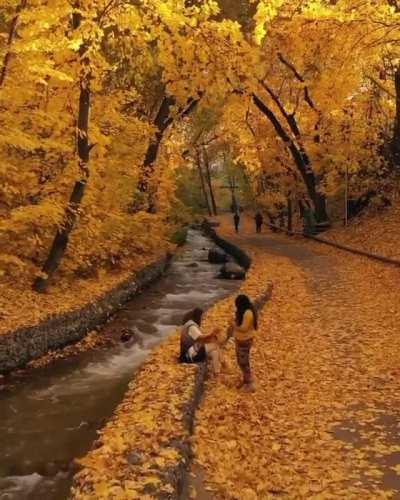 Golden fall in Almaty, Kazakhstan