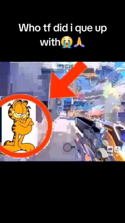 Garfield skibidi