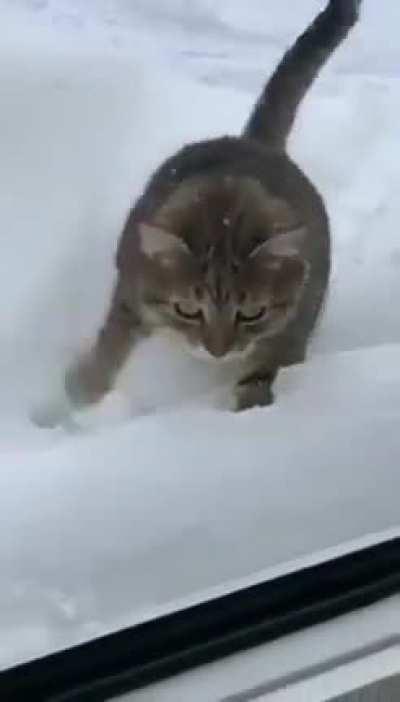 Trying to crawl on deep snow