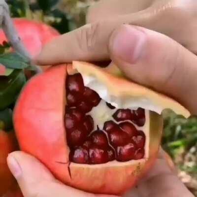 There is a better way to eat a pomegranate