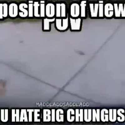 i will beat up all the big chungus haters, im built different >:)