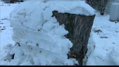 Driver attempts to run over 9-foot-tall snowman, learns the hard way it has a tree trunk as the base