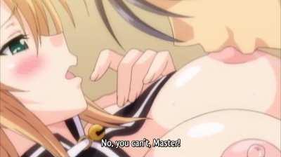 Breast massage (honoo no haramase motto)