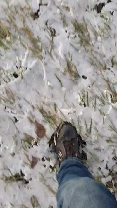 This meadow was flooded by a river. Then the top layer froze while the water retreated. It felt very cronchy walking through that.