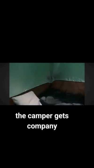 I shitted myself just watching this video, I can't imagine the guy in the tent 