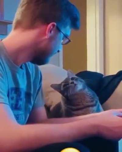 …“Cats can’t show any affection“ /s