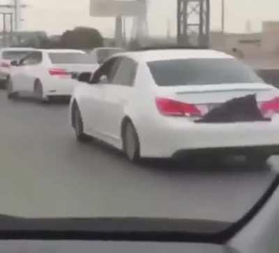 LAMO dancing cars