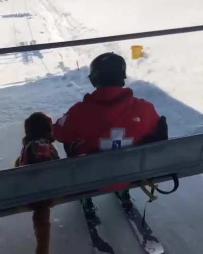 This professional snow rescue pupper doing a great job of getting on the chairlift