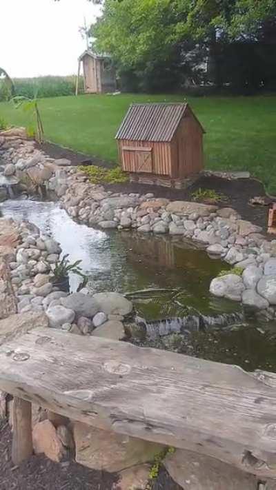 FiL retired recently and decided to do a fully functional stream in the backyard including all the woodworking