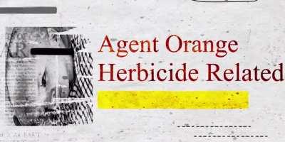 Agent Orange | The Chemical That Destroyed Generations | US-Vietnam War