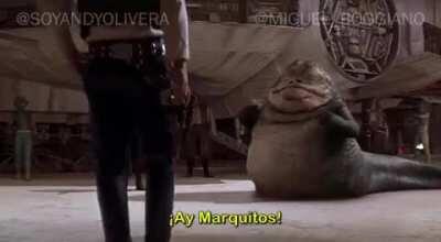 !Ay Marquitos¡