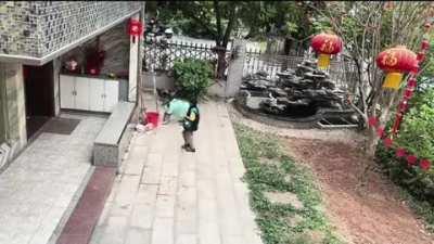 Dog separates kid from fountain and helps him get his ball back.