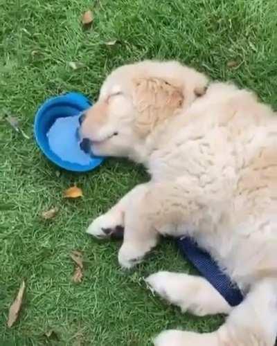 So sleepy and thirsty