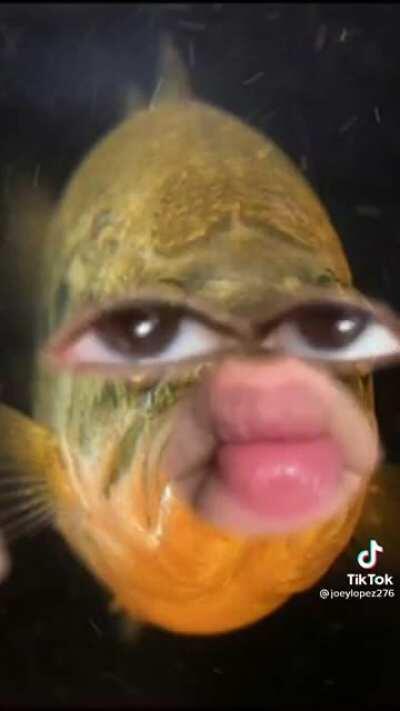 Blub Blub motherfucker