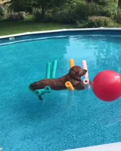 Peaceful float in the pool