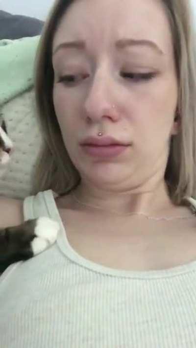 Cat touches its owner in a weird way