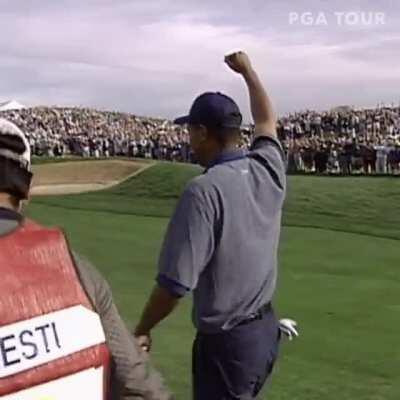 One afternoon in 1997, on the 16th hole at TPC Scottsdale, 21 year old Tiger Woods made a crowd of golf fans lose their collective shit