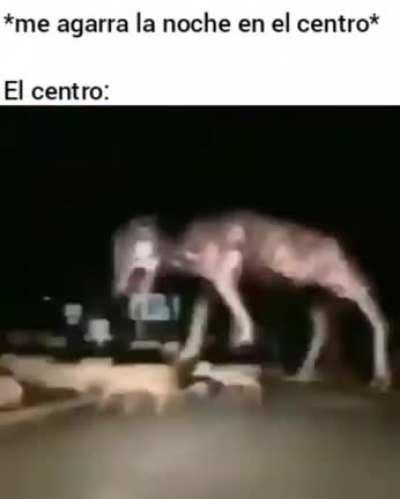 Todo el mundo sabe que de noche salen los monstruos (MTY)