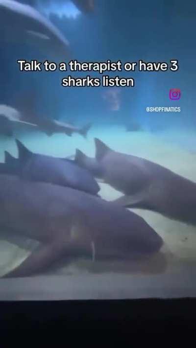 Wunks have great listening skills.