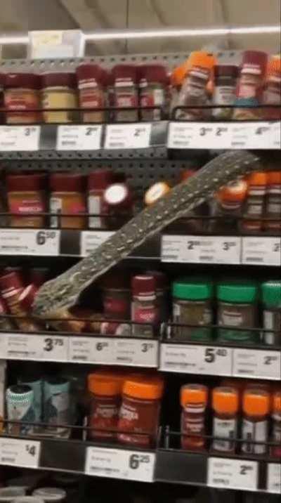 Australian shopper finds snake in grocery store