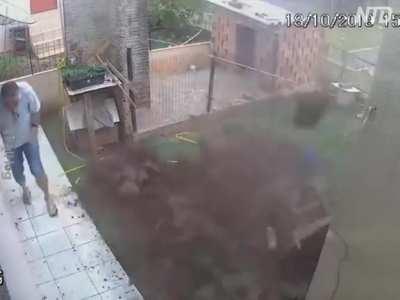 Guy blows up his back yard attempting to get rid of a cockroach problem