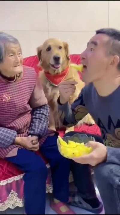 Don't mess with Grandma when doggo is around