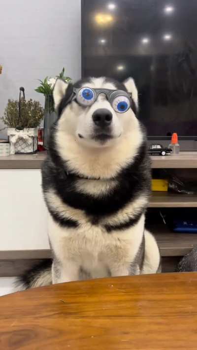 siCk HUMaN SQuEEzeS DoG's FaCe So HARd HIs eYebALLS Pop oUt! HoRRifyinG!