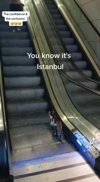 You know it’s Istanbul