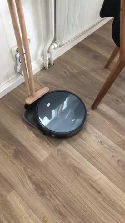 Came in to see the hoover had trapped itself in an endless loop