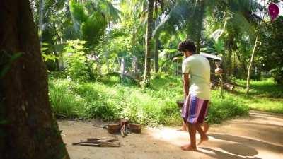 How Coconut Oil is traditionally made in Sri Lanka