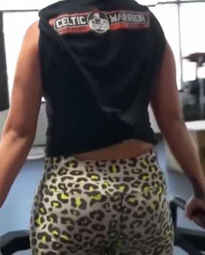 Bayley