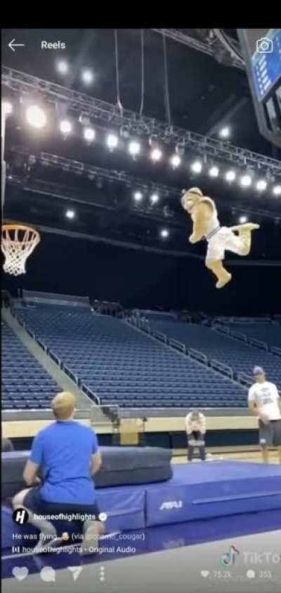 BYU Mascot thrown from almost halfway