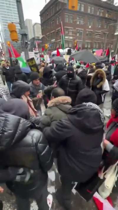 An Iranian refugee in Canada tries to wave a Canadian flag and is immediately beset upon by an angry mob who steal his flag