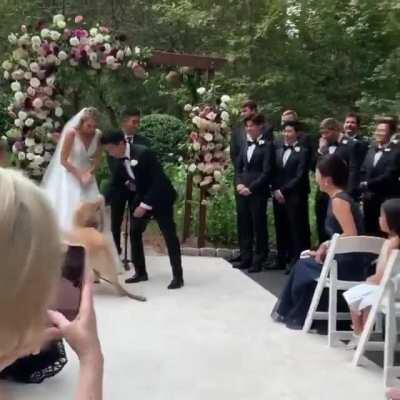 Precious boy during a wedding