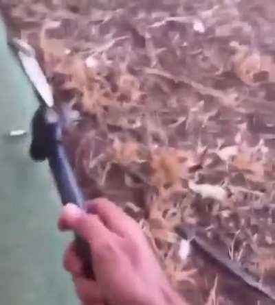 to crush a bullet with hammer