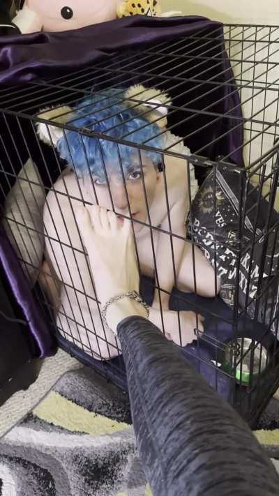 A well-trained puppy boyfriend in his dog cage 🥰. After all my training, he looks up at me for my approval before he gets his daily reward of feet worship 😜.
