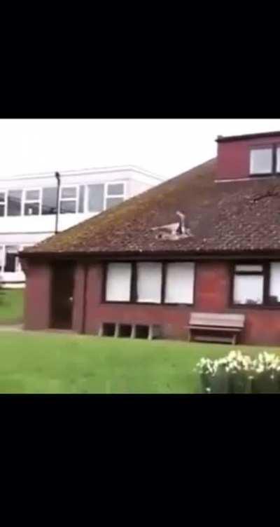 To land on the roof