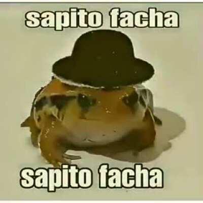 Sapito facha