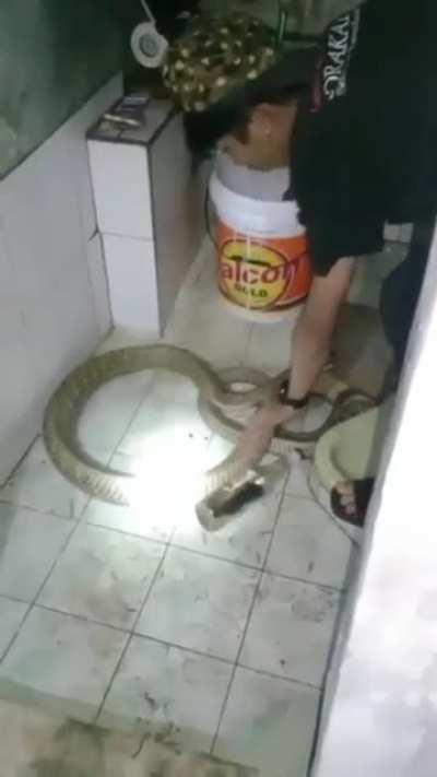 This dude washing a Cobra