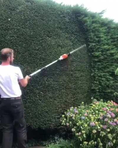 Trimming some bushes