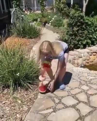 WCGW doing the rubber band on watermelon trick