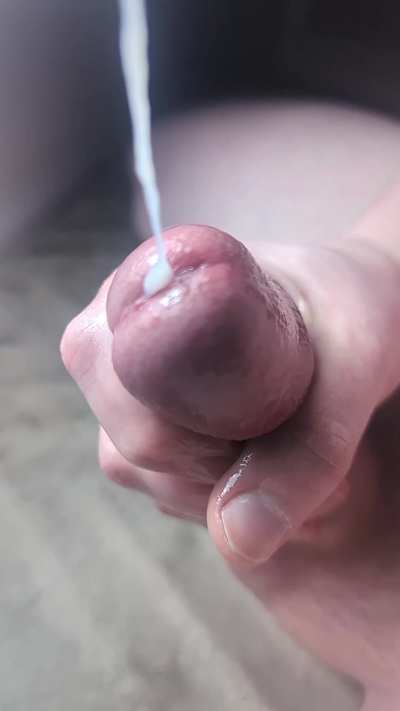 averagepenis