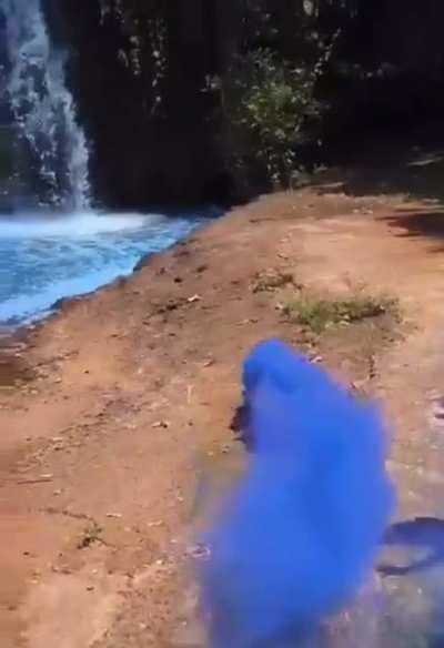 A couple in Brazil painted a waterfall for their gender reveal party.