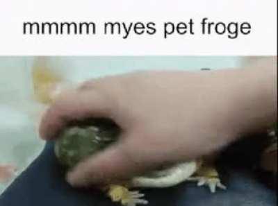 froge