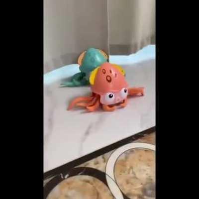 Octopus Moonwalk