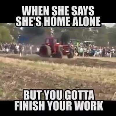 FarmingMemes